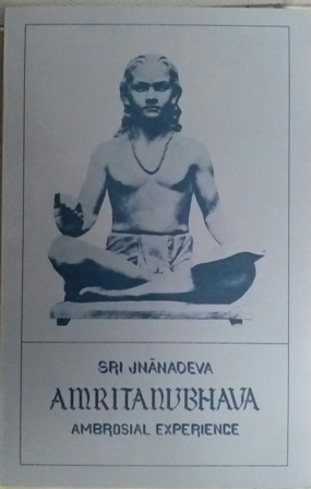 Amritanubhava
